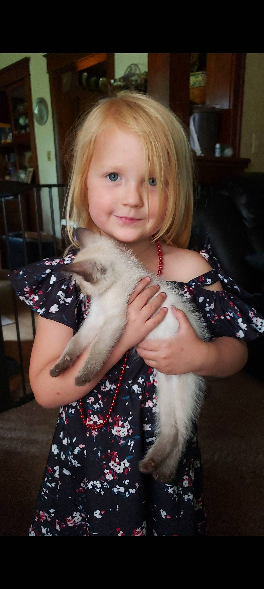 Addison joined the competition — help win amazing prizes! blond, carnivore, cat, companion_dog, dog_breed, eye, eyelash, fawn, felidae, gesture, hair, hairstyle, hand, happy, head, iris, joy, person, small_to_medium_sized_cats, smile