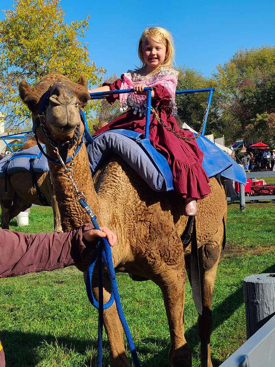 Addison is registered to the contest to win money with this photo: art, camel, camelid, entertainment, event, fawn, fun, grass, joy, landscape, leisure, livestock, pack_animal, person, plant, pole, recreation, sky, smile, terrestrial_animal