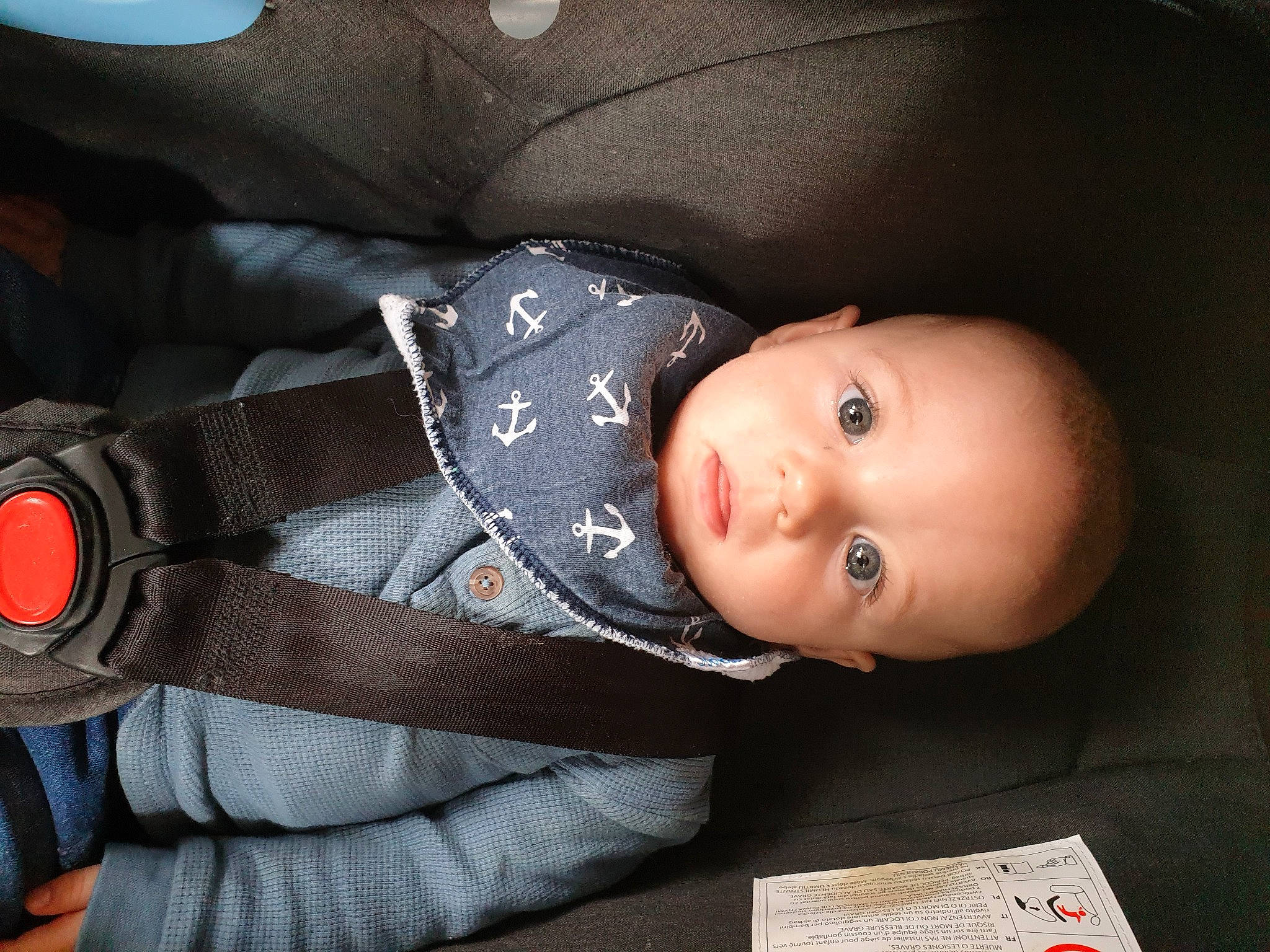 Billy joined the competition — help win amazing prizes! auto_part, baby, baby_products, baby_toddler_clothing, car_seat, carmine, cheek, child, comfort, pattern, person, sitting, skin, sleeve, toddler, tree, wood