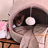 kitten, cat, cat_cave, plush_toy, unicorn_toy, blanket, pompon, indoor, cozy, pet_bed, striped_blanket, wooden_floor, table, furniture, cute, tabby, animal, soft_texture, toy, resting
