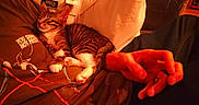 Mickey participe au concours pour gagner de l'argent avec cette photo : cat, kitten, sleeping, person, hand, shirt, text_on_shirt, bed, pillow, blanket, indoor, cozy, tabby, striped, paw, resting, warm_lighting, relaxation, casual, comfort
