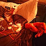 cat, kitten, sleeping, person, hand, shirt, text_on_shirt, bed, pillow, blanket, indoor, cozy, tabby, striped, paw, resting, warm_lighting, relaxation, casual, comfort