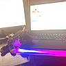 Mickey participe au concours pour gagner de l'argent avec cette photo : kitten, cat, laptop, computer, keyboard, desk, technology, indoor, pet, sleeping, colorful_lights, glowing, electronics, cozy, home_office, workstation, tabby_cat, resting, feline, cute