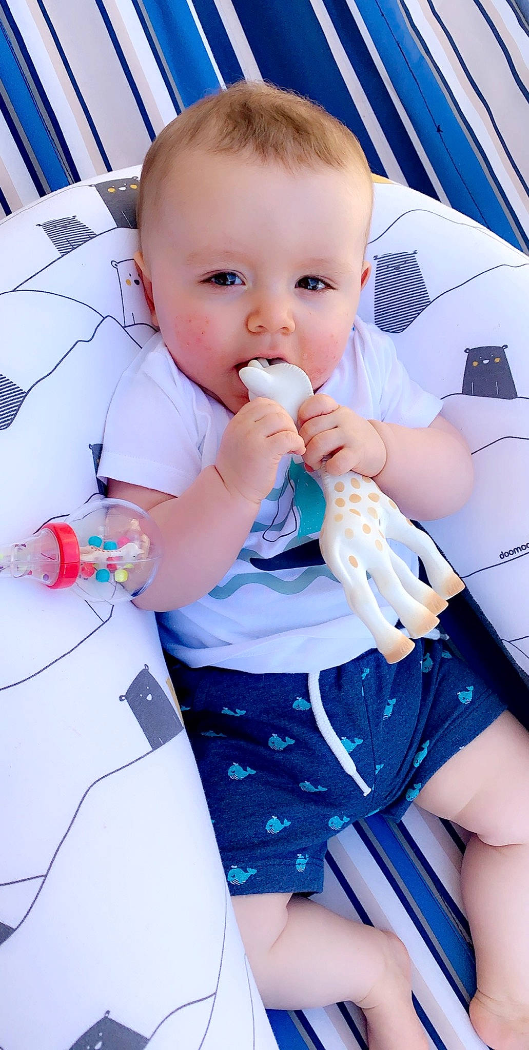 Lucas participe au concours pour gagner de l'argent avec cette photo : baby, baby_products, beauty, cheek, child, finger, leg, nose, person, product, skin, toddler