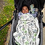 baby, baby_boy, blanket, child, clothing, cozy, cute, dinosaur, fall_leaves, grass, infant, outdoor, person, plush_toy, portrait, relaxing, sidewalk, stroller, toy, warm