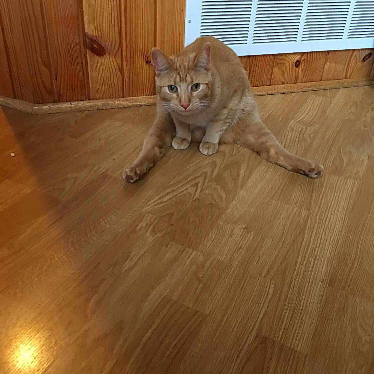 Tim