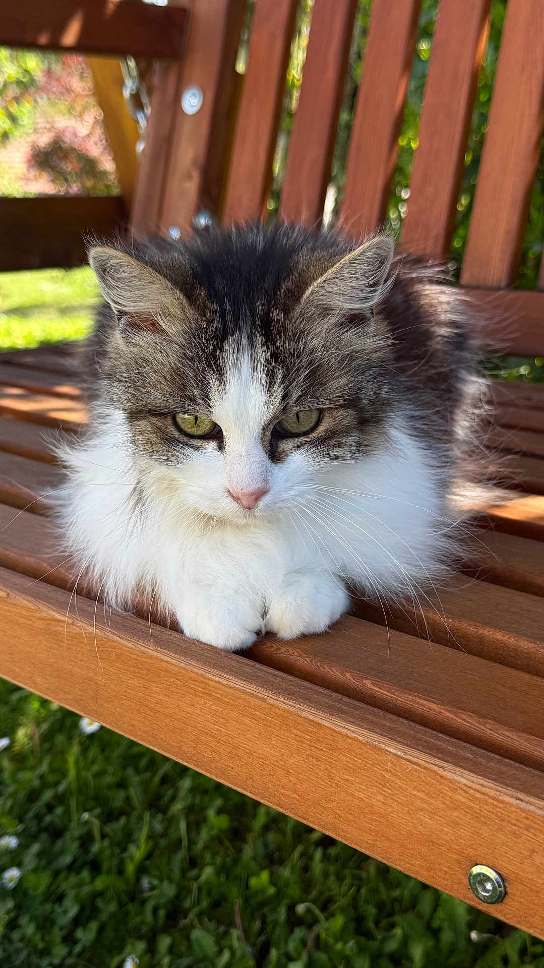Minnie