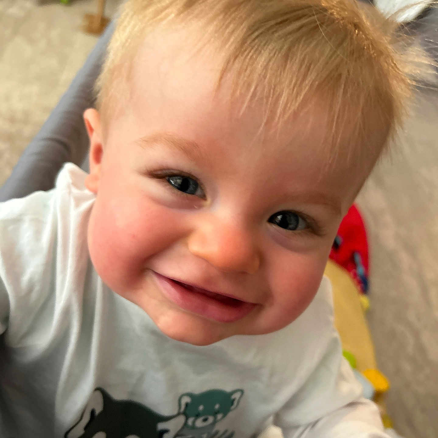 Markus participe au concours pour gagner de l'argent avec cette photo : baby, blonde, bodypart, clothing, face, finger, hair, hand, happy, head, laughing, mouth, person, photography, portrait, selfie, shirt, smile, t_shirt, teeth