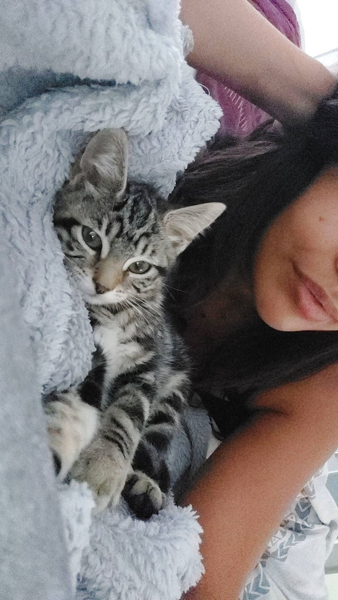 Lana participe au concours pour gagner de l'argent avec cette photo : carnivore, cat, claw, comfort, domestic_short_haired_cat, eyewear, felidae, fur, happy, hug, human_leg, linens, mammal, nap, paw, sitting, small_to_medium_sized_cats, thigh, vertebrate, whiskers