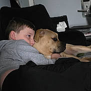 Roscoe joined the competition — help win amazing prizes! boy, dog, indoor, couch, snuggling, child, pet, tan_dog, casual_clothing, relaxing, close_contact, young_boy, household, furniture, comfort, companion, resting, dark_background, calm, affection