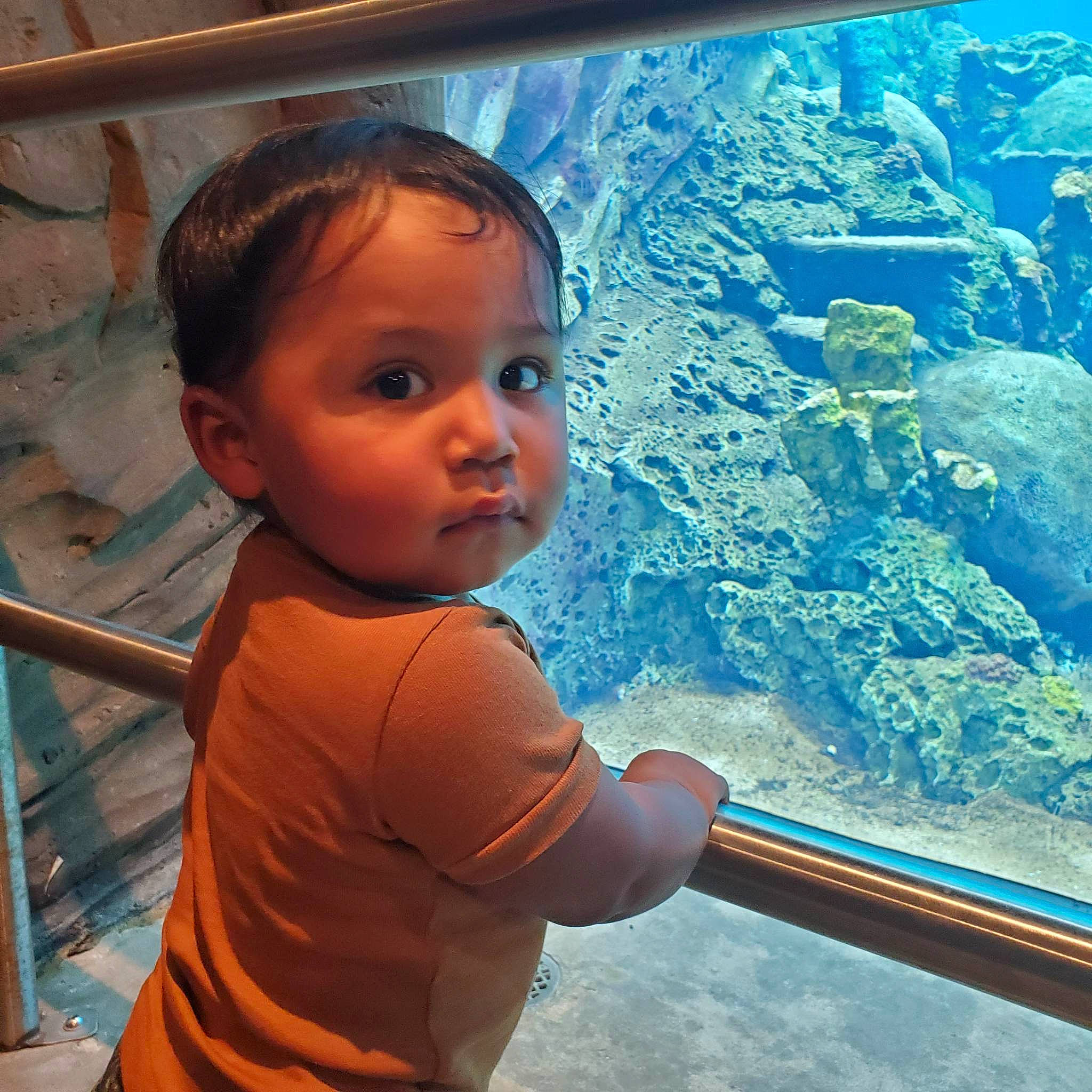 Orion joined the competition — help win amazing prizes! aquarium, azure, blue, child, electric_blue, fun, glass, hairstyle, happy, leisure, person, t_shirt, toddler, travel, underwater, vacation, vehicle_door, water, window, windshield