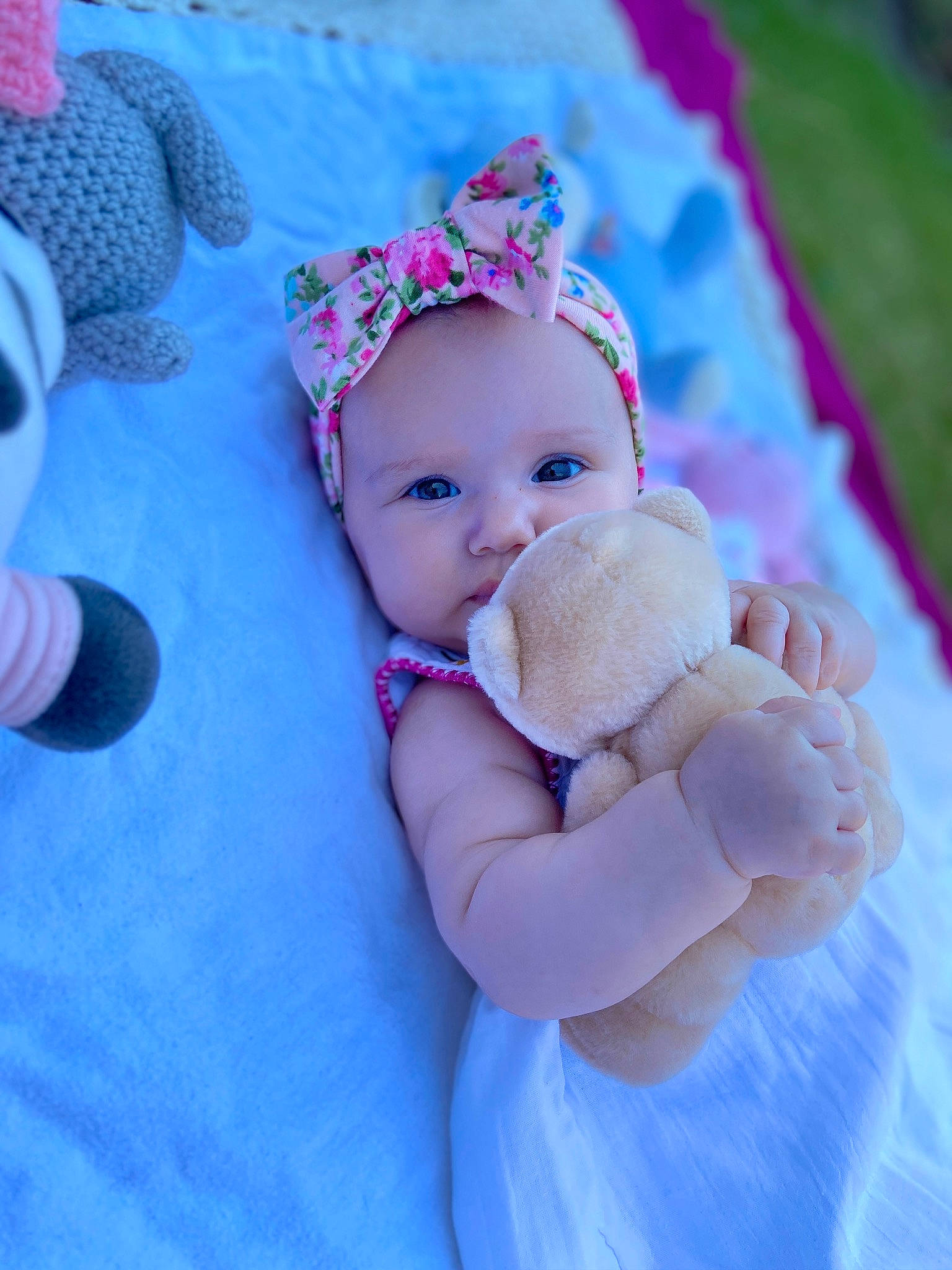 Emma is registered to the contest to win money with this photo: azure, baby, baby_toddler_clothing, beauty, cap, child, eye, face, finger, grass, hand, happy, headwear, mammal, person, pink, plant, purple, skin, textile