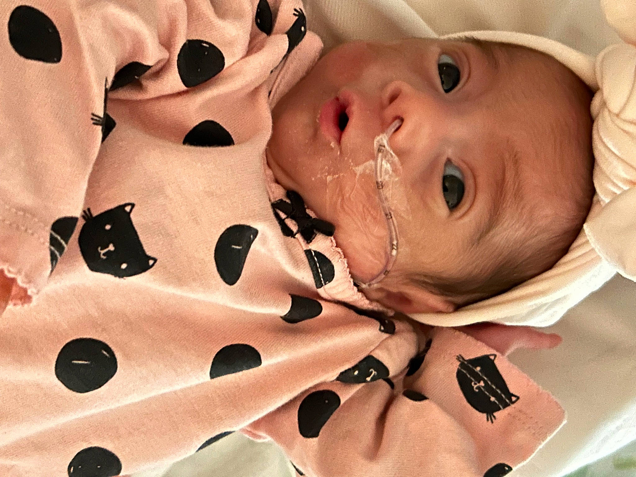 Annamarie is registered to the contest to win money with this photo: baby, baby_toddler_clothing, carmine, cheek, child, collar, eyebrow, eyelash, finger, gesture, happy, hat, nail, neck, nose, pattern, person, sleeve, smile, thumb