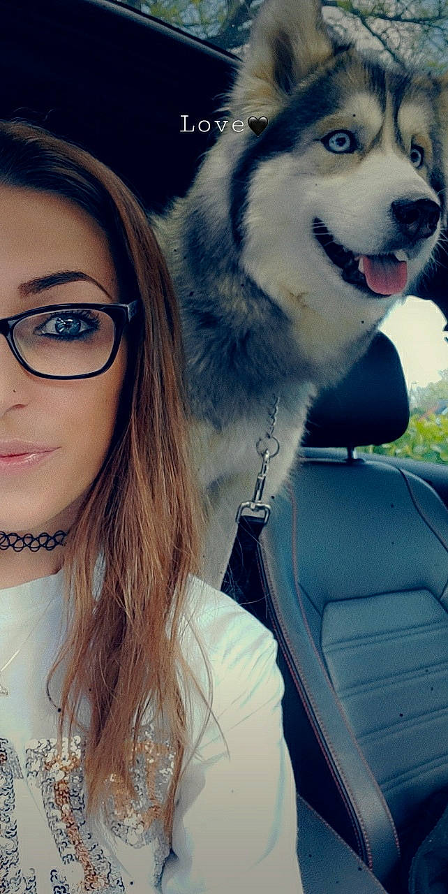 Jemma is registered to the contest to win money with this photo: alaskan_klee_kai, alaskan_malamute, beauty, canidae, carnivore, dog, eyebrow, eyewear, glasses, hair, iris, lip, miniature_siberian_husky, mouth, nose, rare_breed_dog, sakhalin_husky, siberian_husky, sled_dog, smile