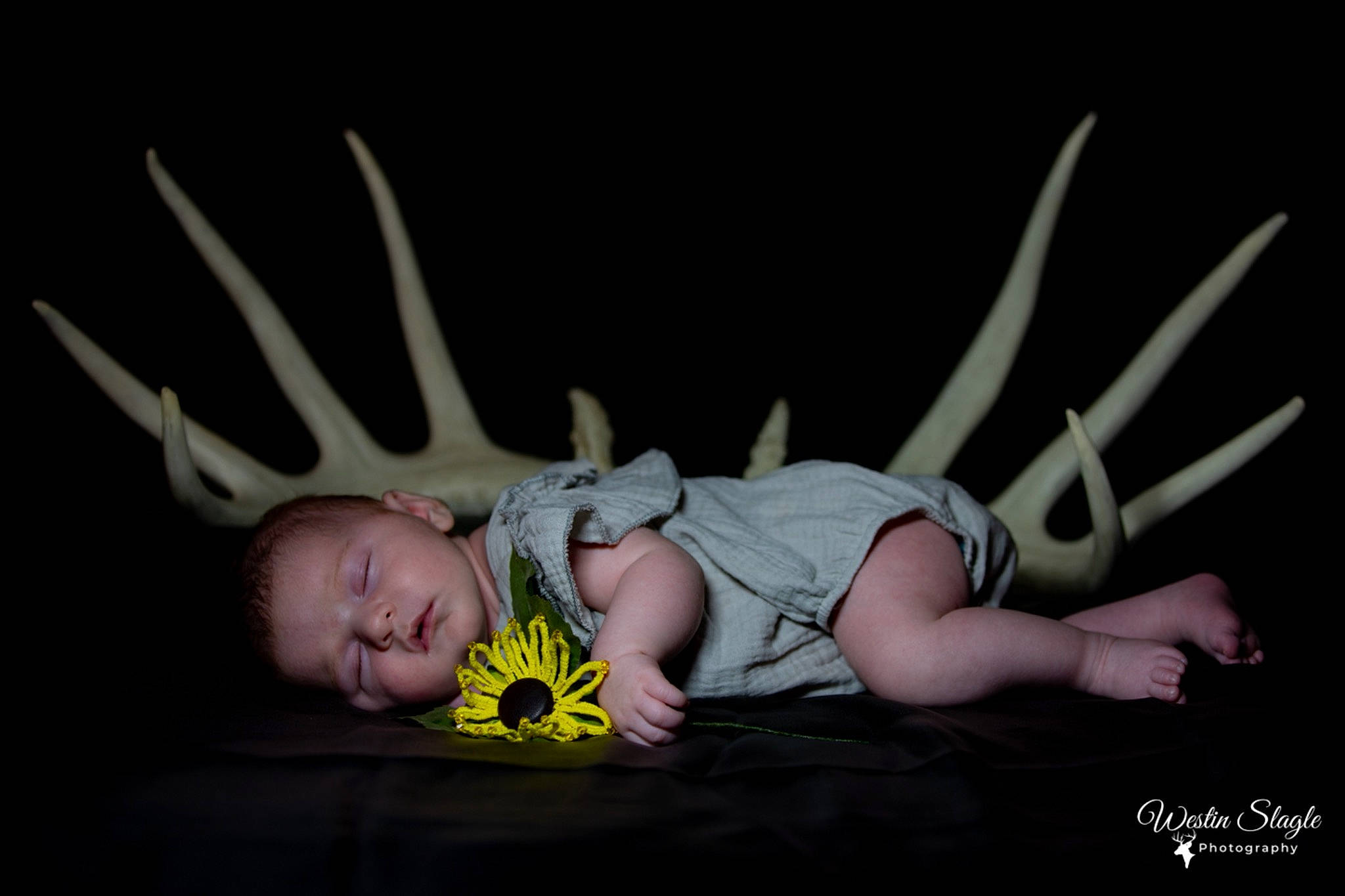 Freyja joined the competition — help win amazing prizes! antler, baby, baby_toddler_clothing, child, darkness, event, fawn, fictional_character, flash_photography, fun, grass, happy, headpiece, horn, human_body, illustration, person, plant, portrait_photography, still_life_photography