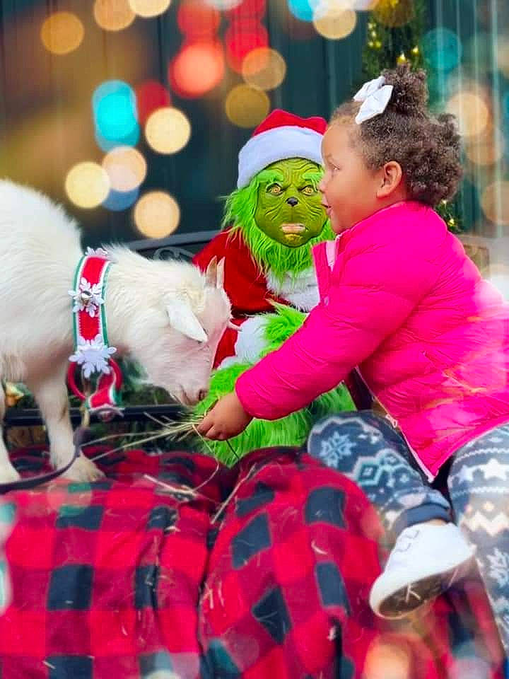 Kaidynce joined the competition — help win amazing prizes! child, christmas, christmas_eve, entertainment, event, fictional_character, fun, happy, hat, holiday, lap, leisure, pattern, person, plaid, plant, red, santa_claus, smile, tartan