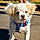 Mookie