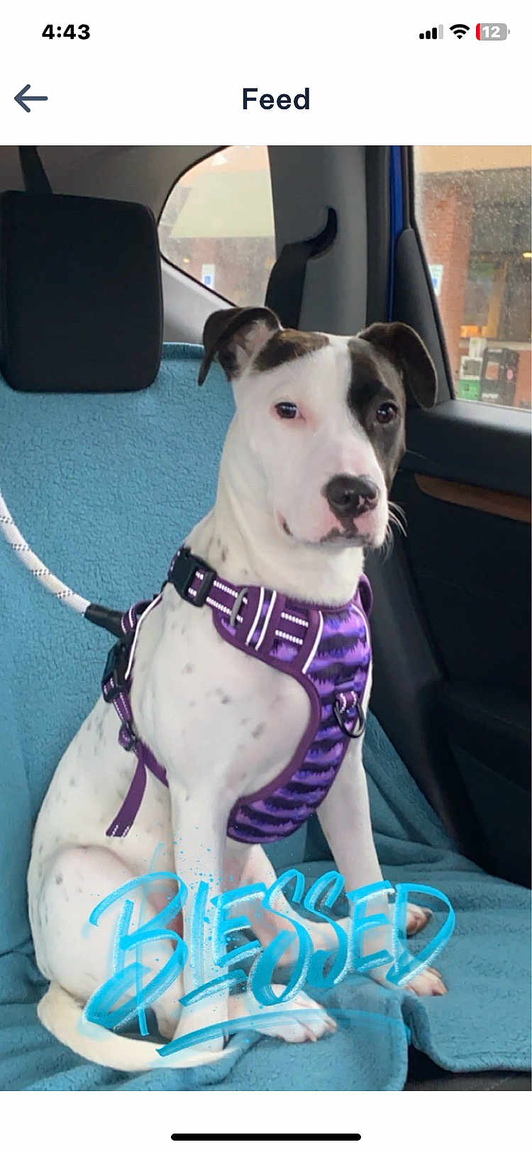 Luna