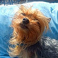 Pepee P.