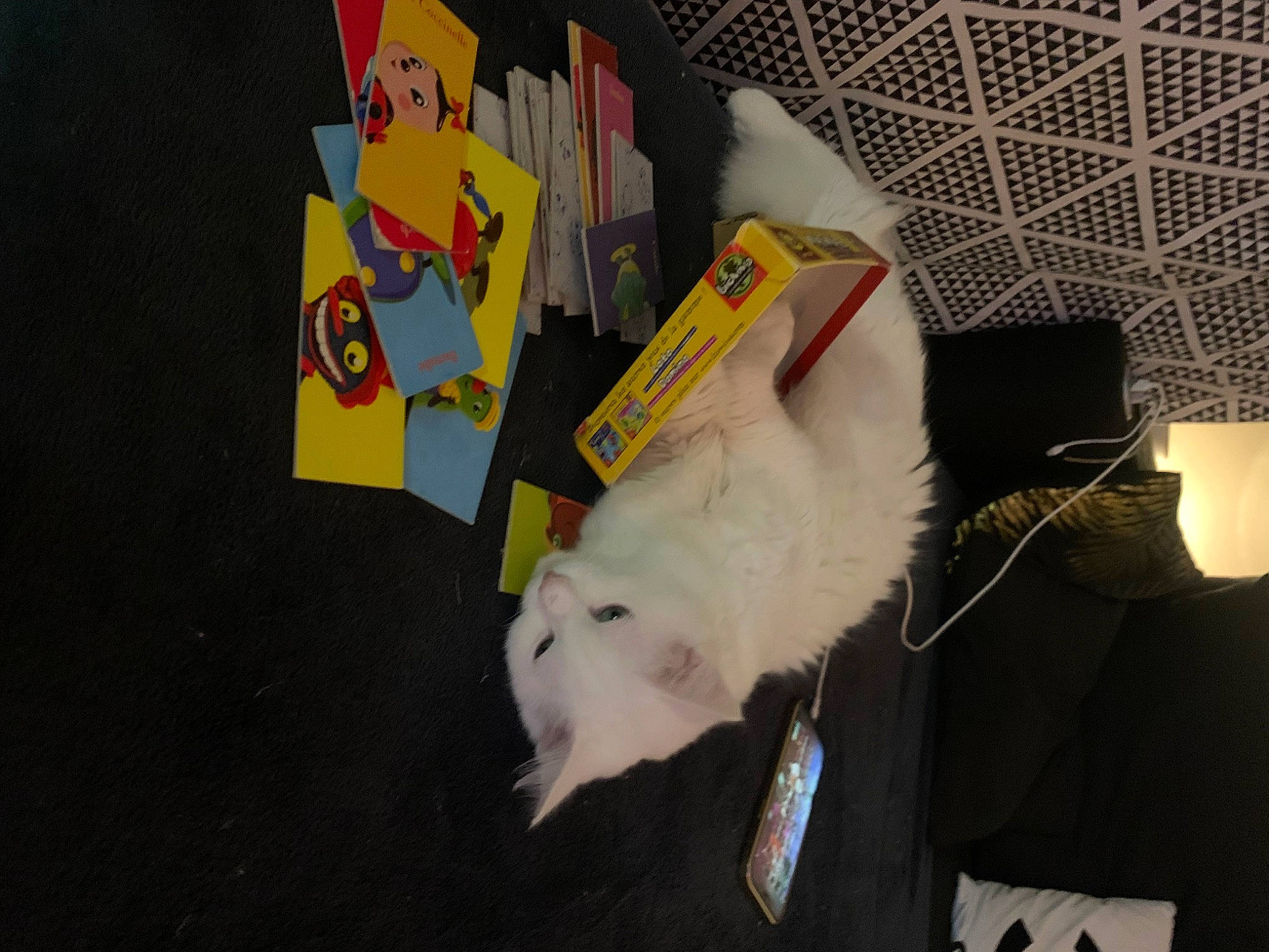 Flocon participe au concours pour gagner de l'argent avec cette photo : art, canidae, carnivore, companion_dog, dog_breed, fawn, felidae, fur, paper, paper_product, polar_bear, room, small_to_medium_sized_cats, sporting_group, stuffed_toy, tail, toy, visual_arts, wing, working_animal