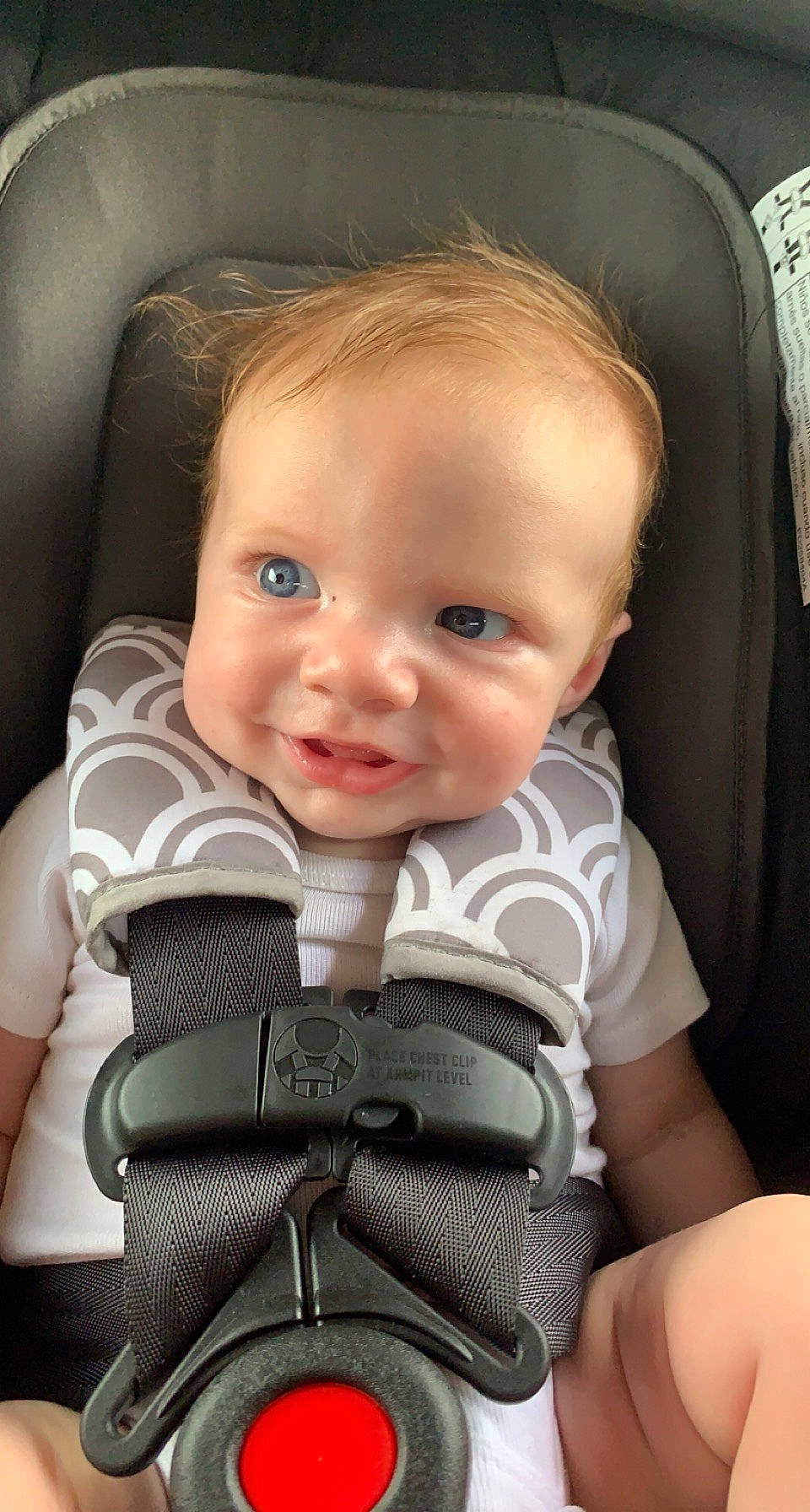 Lane Steele is registered to the contest to win money with this photo: auto_part, automotive_design, baby, baby_carriage, baby_toddler_clothing, blond, car_seat, cheek, child, comfort, eye, eyebrow, face, flash_photography, iris, person, product, seat_belt, skin, smile