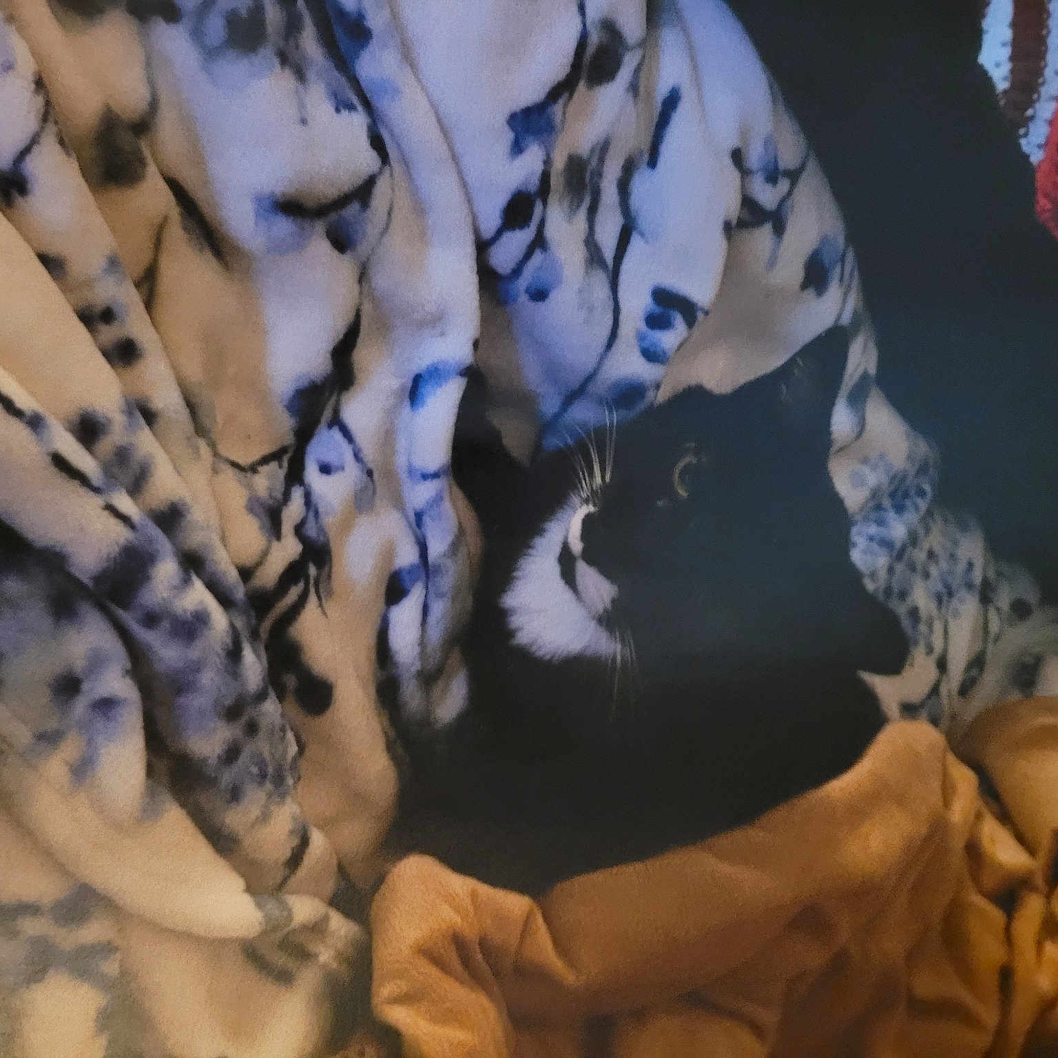 Thunder is registered to the contest to win money with this photo: abdomen, chest, child, darkness, finger, fun, fur, gesture, human_leg, linens, military_camouflage, nail, pattern, room, textile, thigh, tree, trunk, uniform, winter