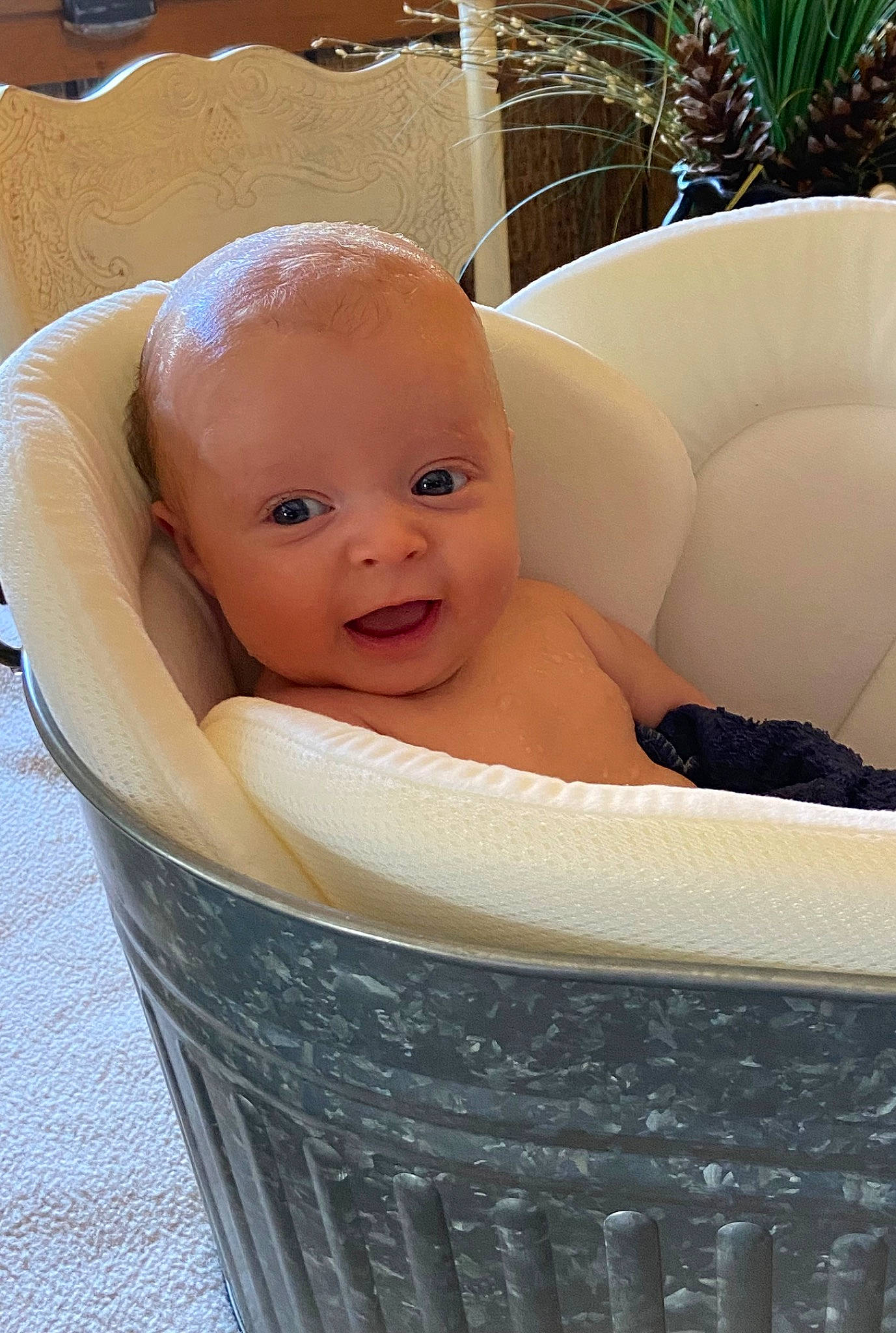 Madison is registered to the contest to win money with this photo: baby, baby_bathing, baby_products, bathing, beauty, cheek, chest, child, comfort, fun, grass, hairstyle, happy, houseplant, leisure, person, plant, product, skin, smile