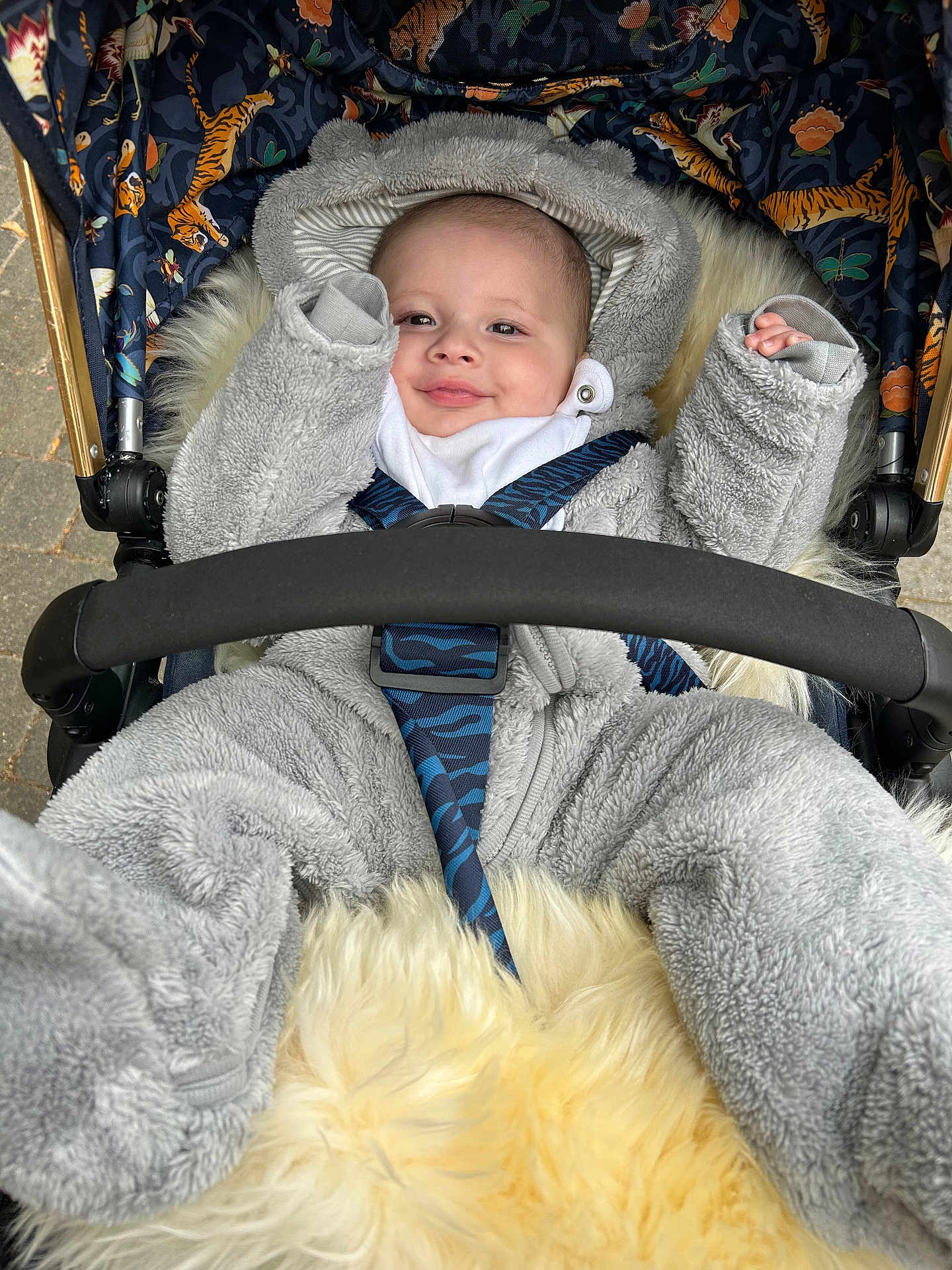 Alfie joined the competition — help win amazing prizes! baby, child, stroller, onesie, grey_clothing, fur, smile, face, baby_boy, animal_print, tiger_pattern, seatbelt, outdoor, comfort, cute, infant, portrait, warm_clothing, happy, baby_carriage