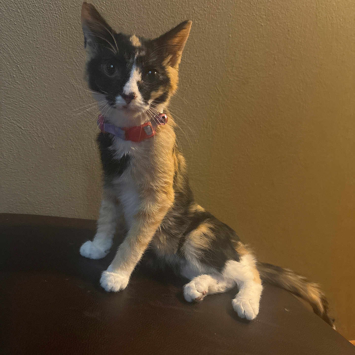 Chloe