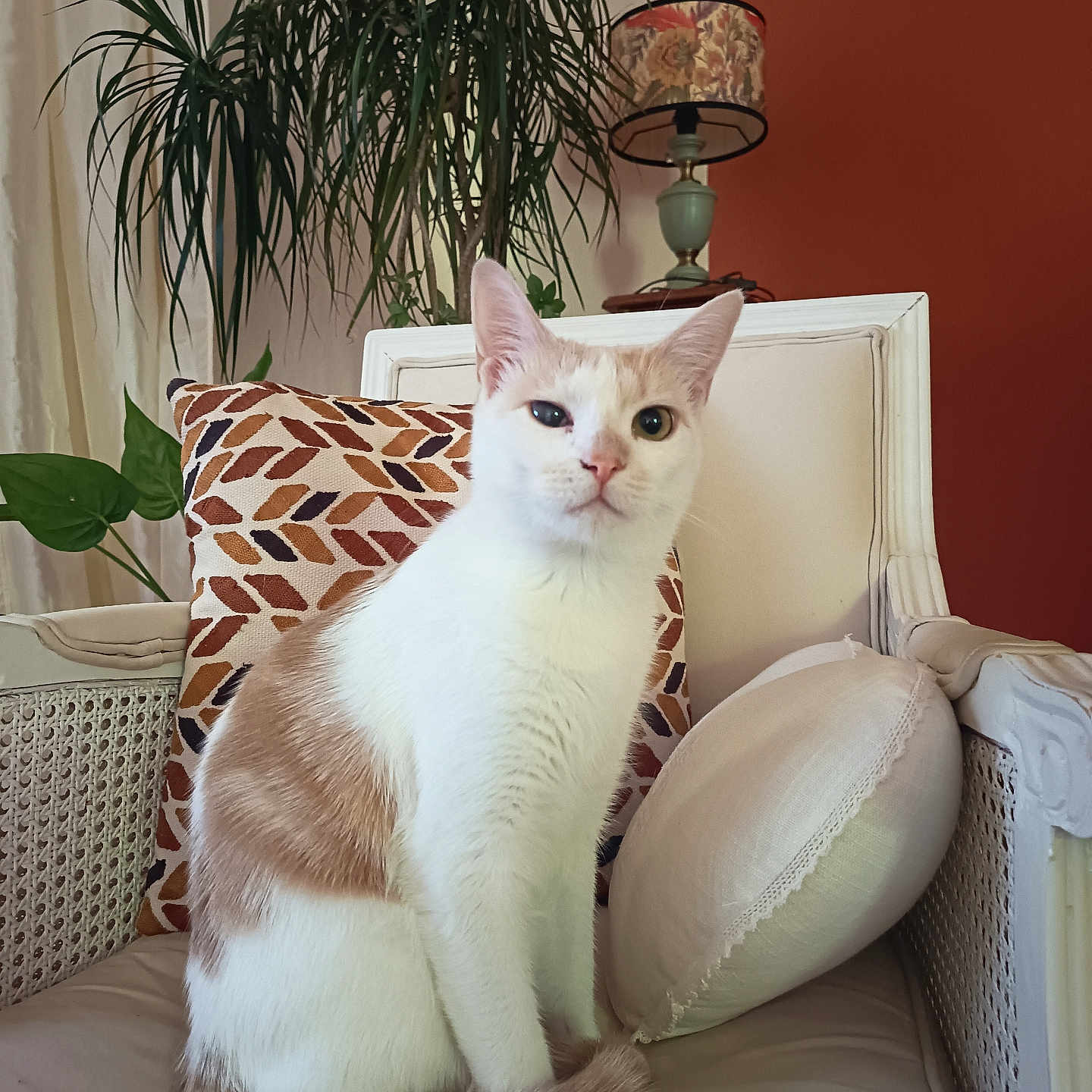 éliot