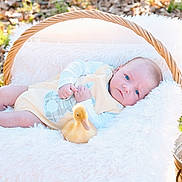 Jr is registered to the contest to win money with this photo: baby, infant, newborn, duckling, basket, blanket, plush, outdoors, grass, spring, blue_eyes, cute, portrait, cozy, white_fur, shoe, gaze, bucket, sunlight, nature
