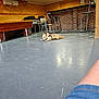 dog, indoor, floor, chair, bar_counter, brick_wall, wooden_wall, scratched_floor, relaxed, pet, furniture, casual, room, concrete_floor, lighting, human_leg, denim_shorts, harness, empty_room, resting