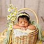 newborn, baby, basket, flower_headband, sleeping, daisies, blanket, soft_texture, peaceful, portrait, infant, cute, resting, close_up, adorable, baby_boy, indoor, decor, woven, cozy