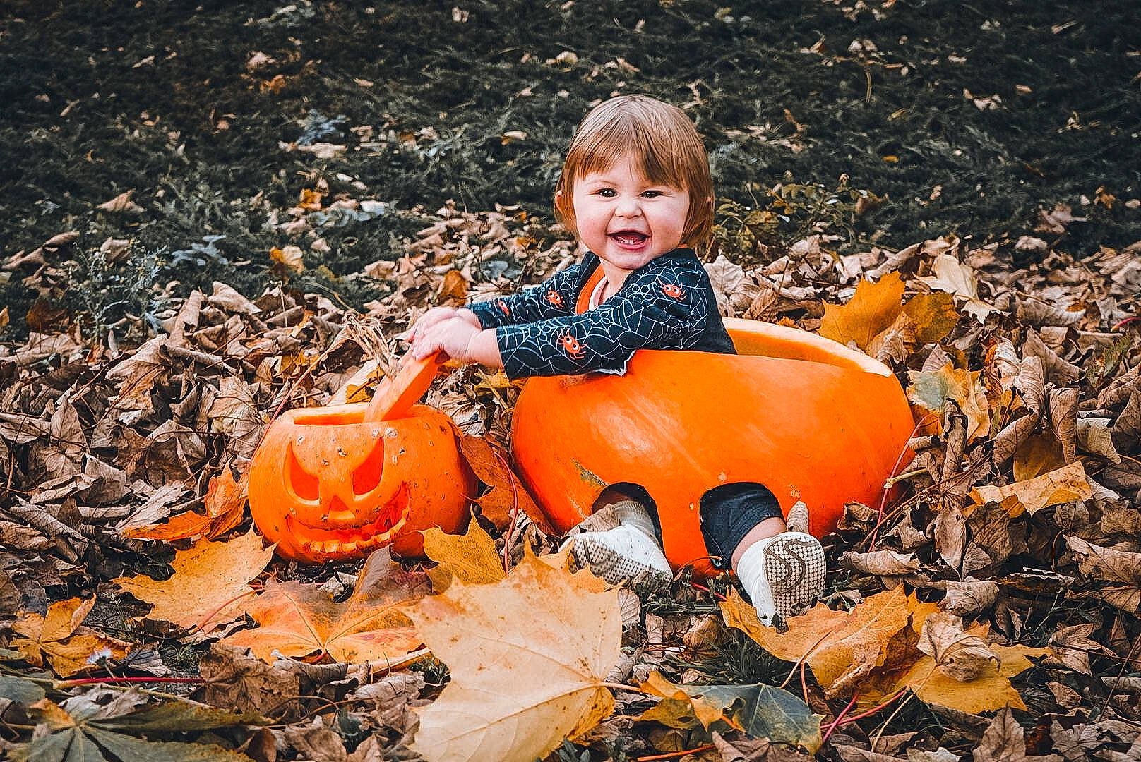 Tess participe au concours pour gagner de l'argent avec cette photo : calabaza, child, eye, face, flash_photography, fun, grass, happy, leaf, nature, orange, people_in_nature, person, plant, pumpkin, smile, squash, toddler, vegetable, winter_squash