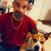 Looky a rejoint le concours — aidez-le/la à gagner de superbes lots ! blur, bowl, brown_and_white_dog, casual, chain_necklace, dog, face, floor, furniture, home, indoor, man, pet, plant, red_shirt, short_hair, sitting, smile, table, tile_floor