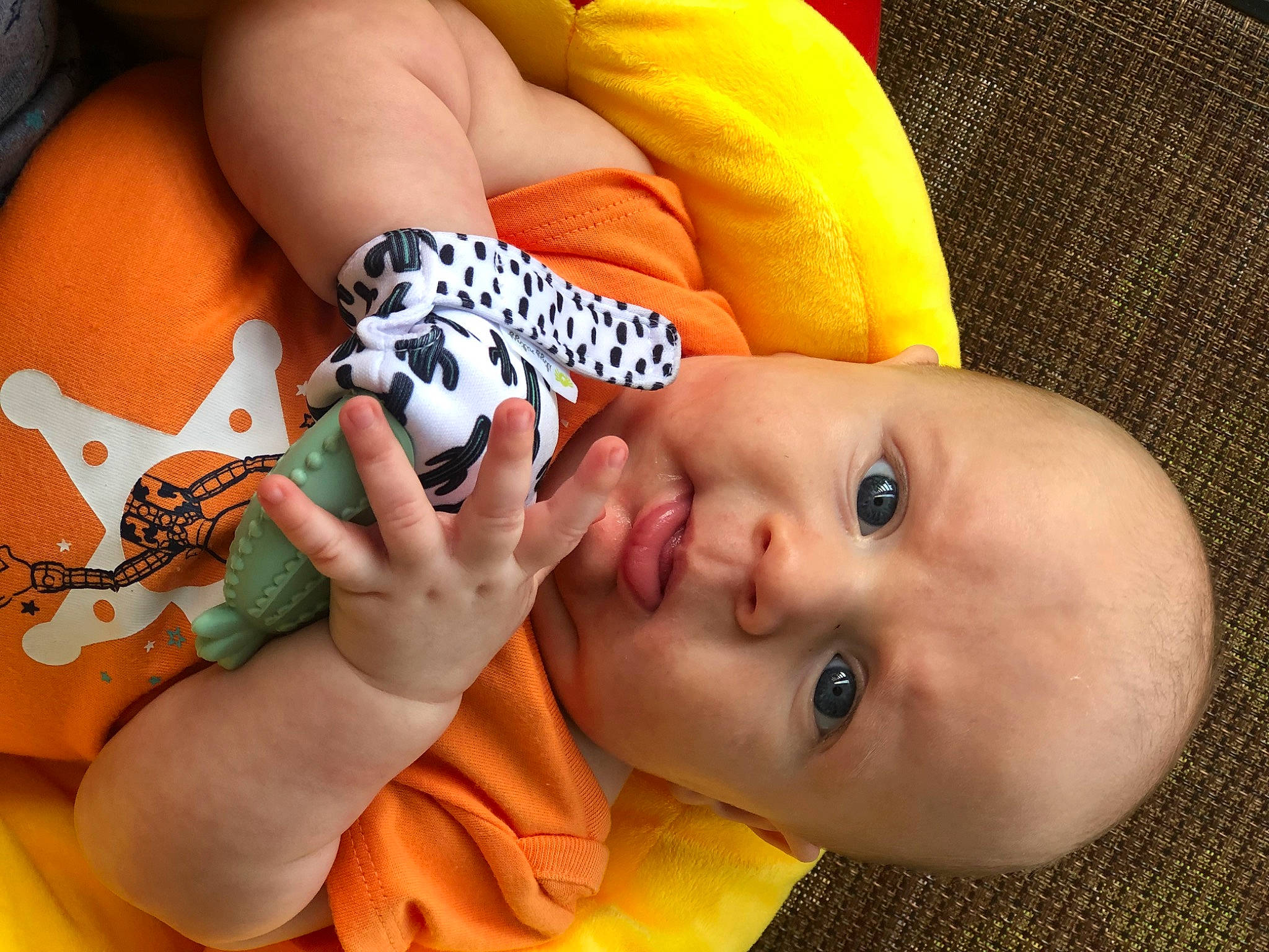 Damon is registered to the contest to win money with this photo: arthropod, baby, butterfly, cheek, eye, eyebrow, eyelash, finger, happy, human_body, insect, iris, lip, mouth, neck, nose, orange, person, pollinator, skin