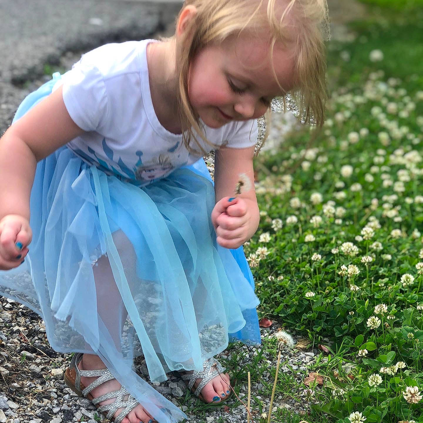 Ariel is registered to the contest to win money with this photo: barefoot, child, dress, electric_blue, flower, fun, grass, grass_family, grassland, groundcover, happy, human_leg, lawn, meadow, people_in_nature, person, petal, plant, sandal, summer
