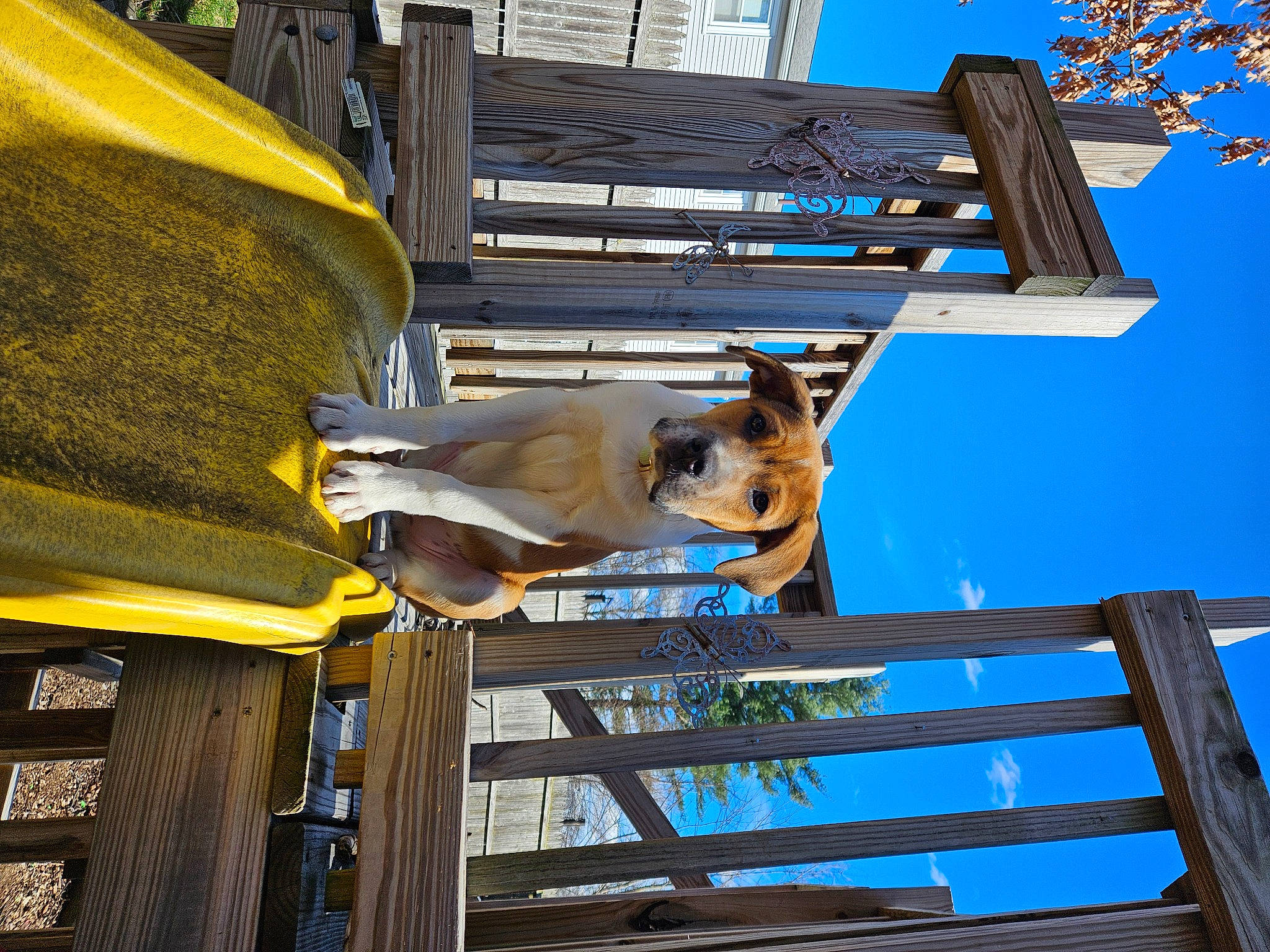 Boomer is registered to the contest to win money with this photo: blue, building, daytime, door, electric_blue, facade, line, metal, sky, wood, working_animal