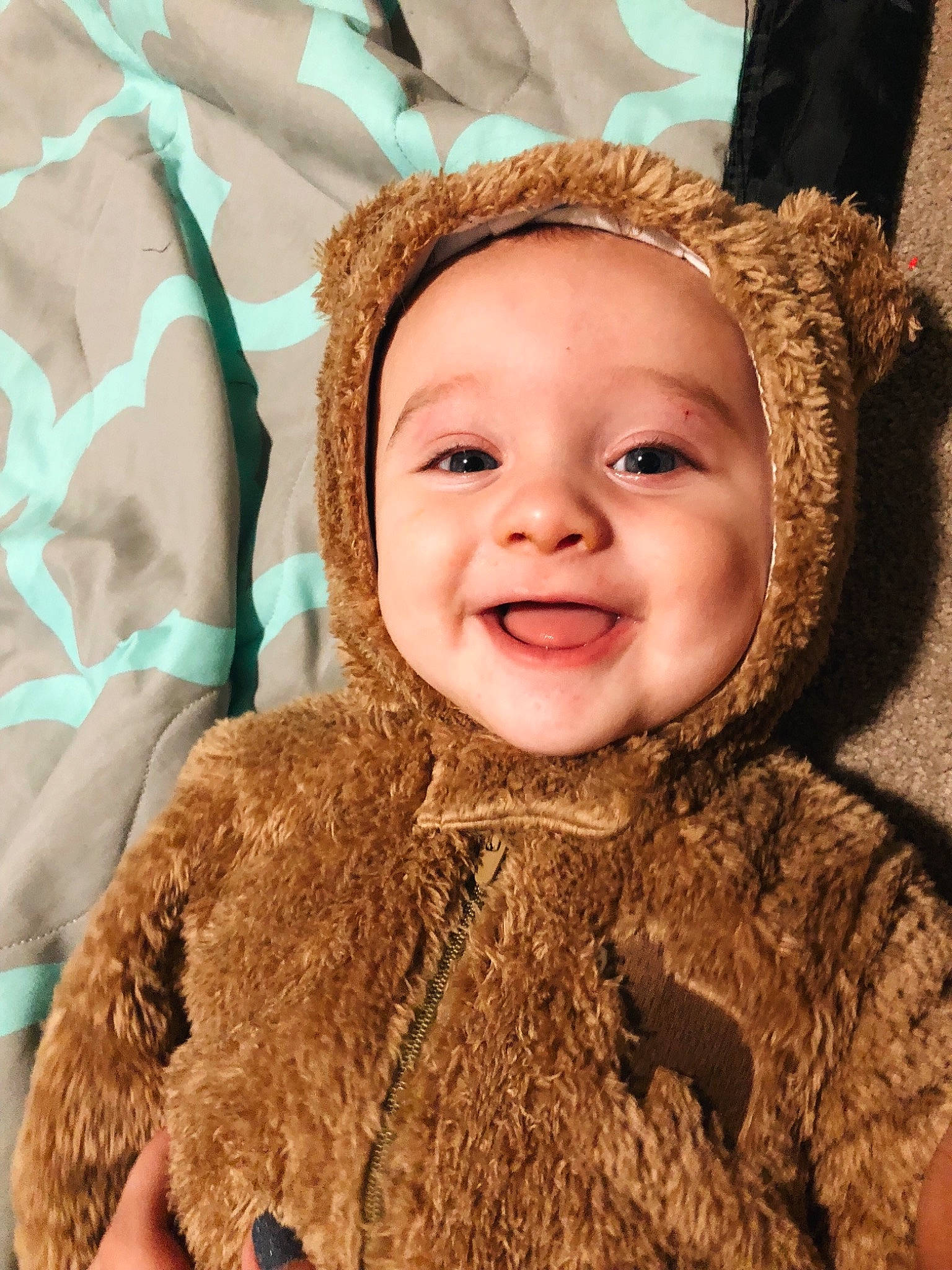 Cohen joined the competition — help win amazing prizes! baby, cheek, child, ear, eye, face, facial_expression, fun, fur, happy, head, headgear, human, iris, nose, organ, outerwear, person, skin, smile
