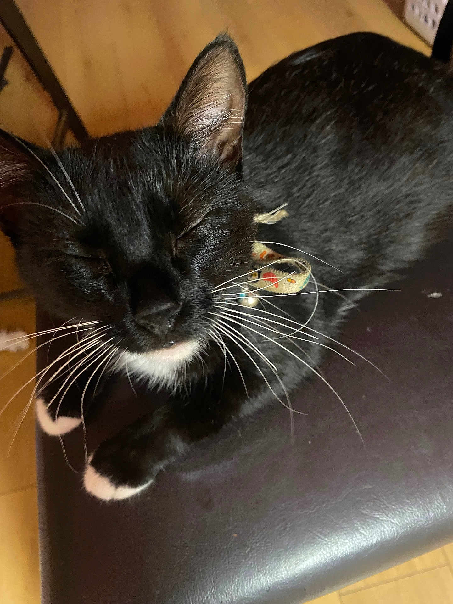 Luna