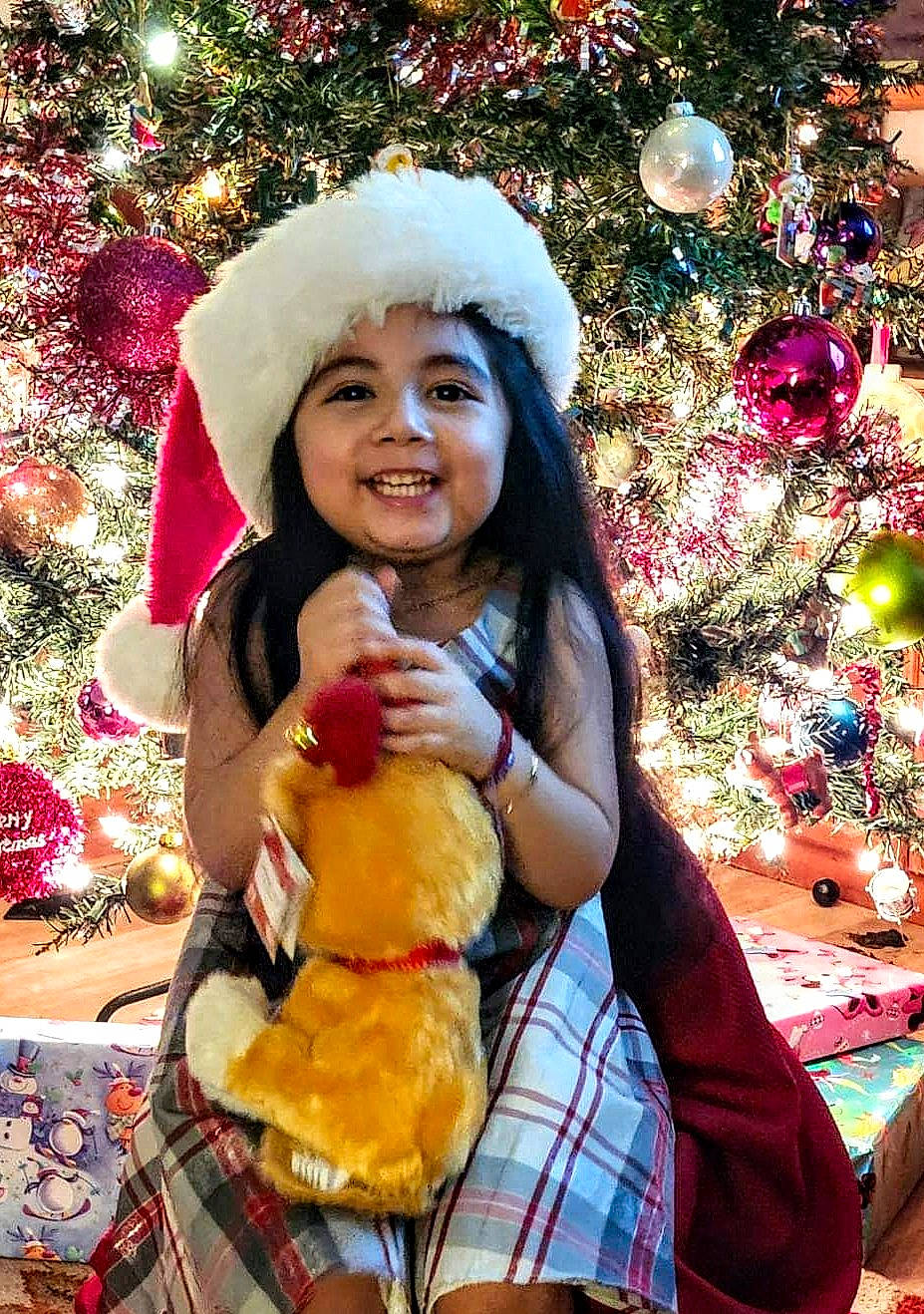 Melanie joined the competition — help win amazing prizes! christmas_decoration, christmas_ornament, christmas_tree, event, fawn, fun, green, happy, headwear, holiday, joy, ornament, people_in_nature, person, photograph, plaid, plant, smile, snapshot, tartan