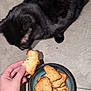 Brice a rejoint le concours — aidez-le/la à gagner de superbes lots ! black_cat, cat, pet, animal, snack, food, bowl, hand, person, floor, tile_floor, homemade_food, crispy_snack, curious, closeup, indoor, domestic, feline, licking, investigation