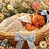 Kyleigh is registered to the contest to win money with this photo: baby, newborn, sleeping, basket, flower, rose, daisy, headband, bow, blanket, knitted, soft, cute, peaceful, portrait, flower_arrangement, infant, resting, cozy, decorative