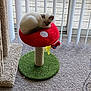 Baby is registered to the contest to win money with this photo: cat, mushroom_perch, red, white, green, carpet, vertical_blinds, indoor, pet, animal, resting, cozy, window, door, wooden_deck, plush, furniture, toy, yellow, relaxing