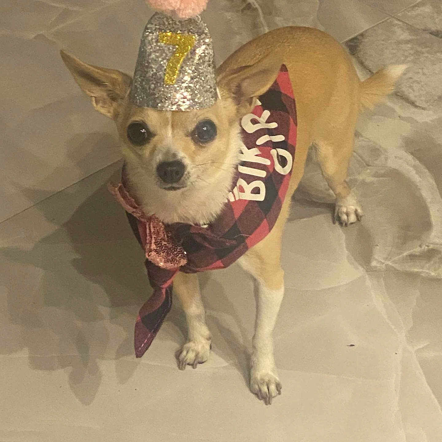 Nala