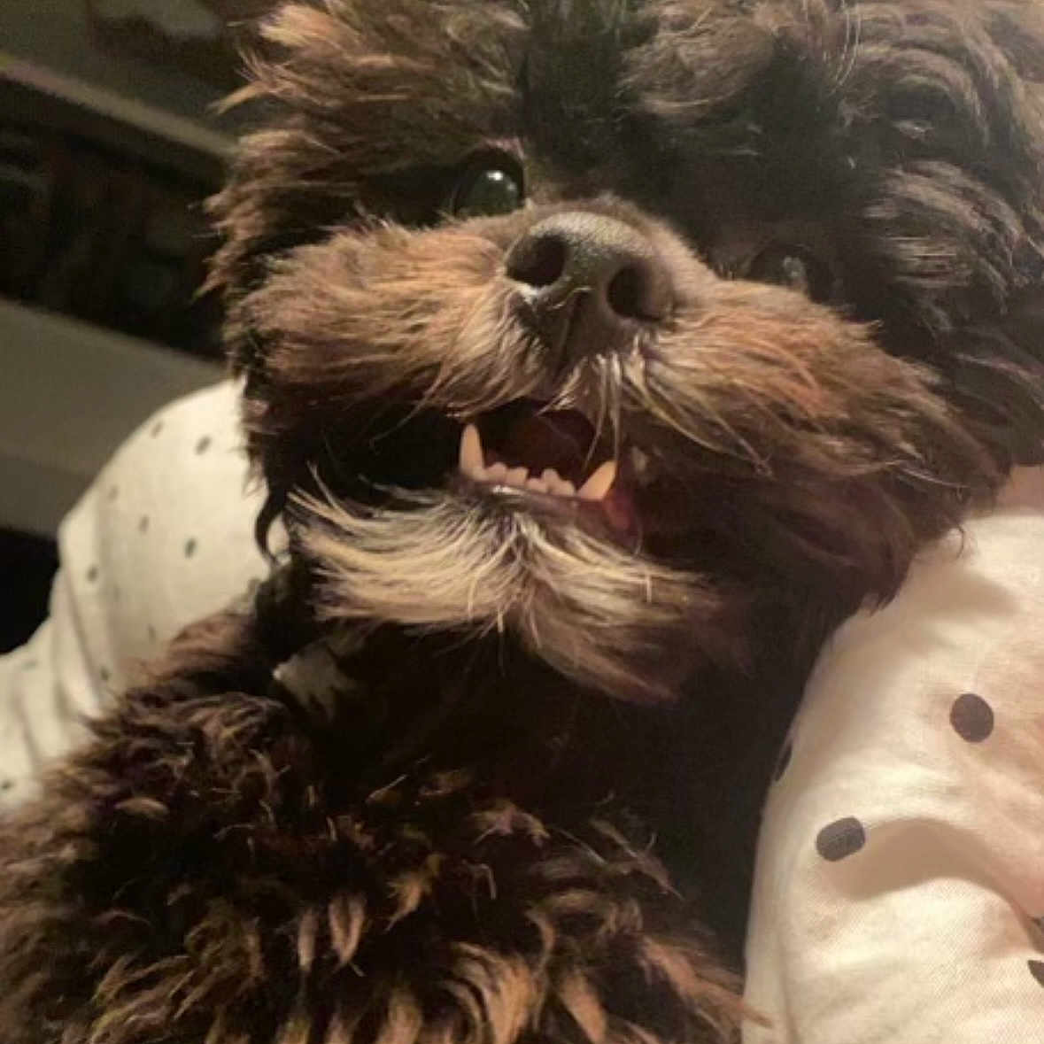 Eddie