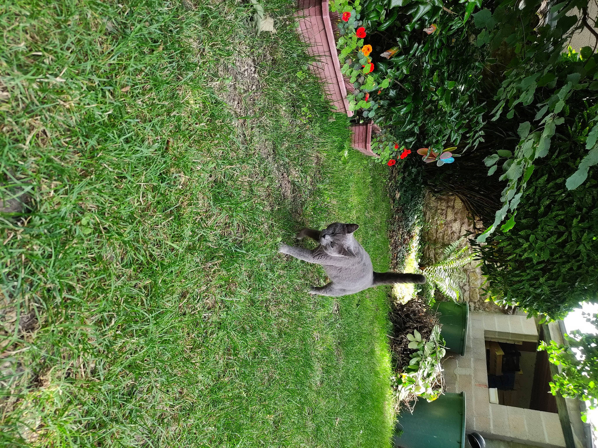 Bécassine participe au concours pour gagner de l'argent avec cette photo : botany, building, cottage, flower, garden, grass, groundcover, house, land_lot, landscape, landscaping, lawn, leaf, plant, shrub, slope, tree, urban_design, vegetation, window