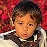 child, boy, face, brown_eyes, hair, jacket, coat, outdoor, nature, foliage, red_leaves, portrait, closeup, warm_light, curious_expression, young, person, casual_clothing, autumn, daylight