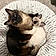 Meeshka And Suki