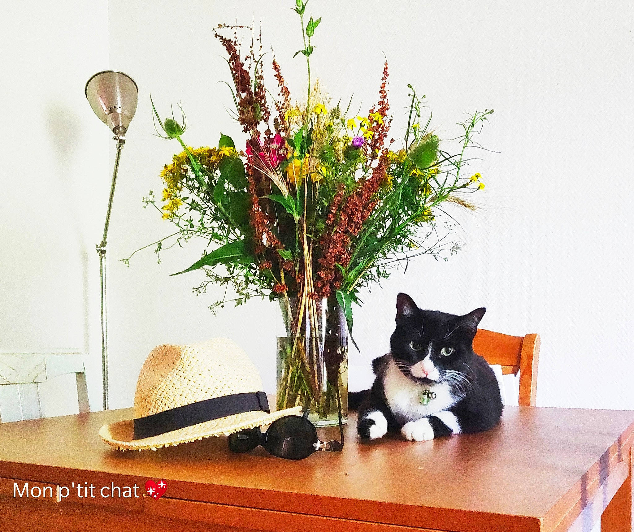 Marlo participe au concours pour gagner de l'argent avec cette photo : artificial_flower, black_cat, bouquet, branch, cat, cut_flowers, felidae, floristry, flower, flowerpot, houseplant, ikebana, kitten, plant, room, small_to_medium_sized_cats, still_life_photography, table, vase, whiskers